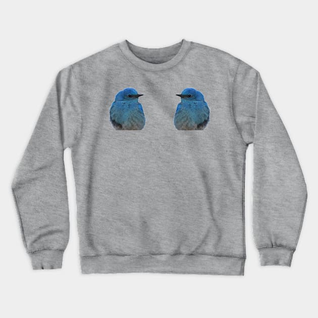 Twin Bluebirds Crewneck Sweatshirt by Whisperingpeaks